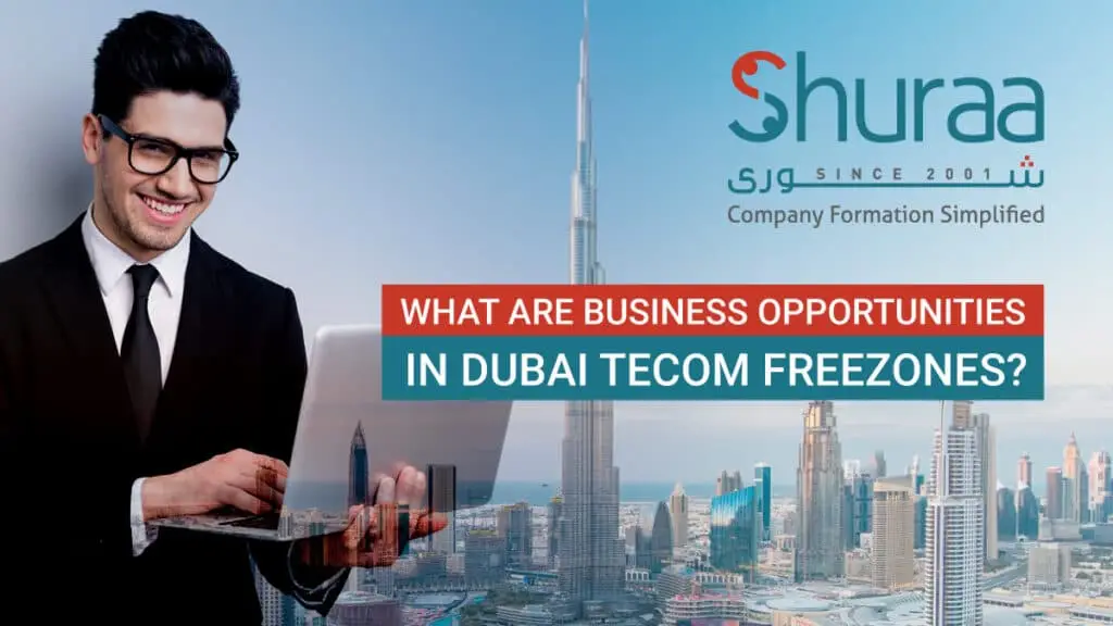 What are business opportunities in Dubai TECOM Freezones?