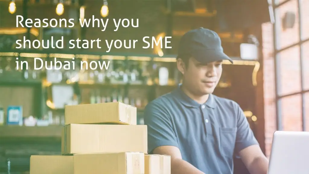 Why Start an SME Company in Dubai?