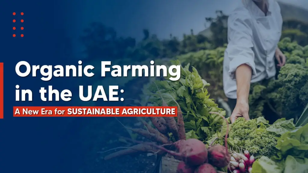 Start your organic farming in UAE