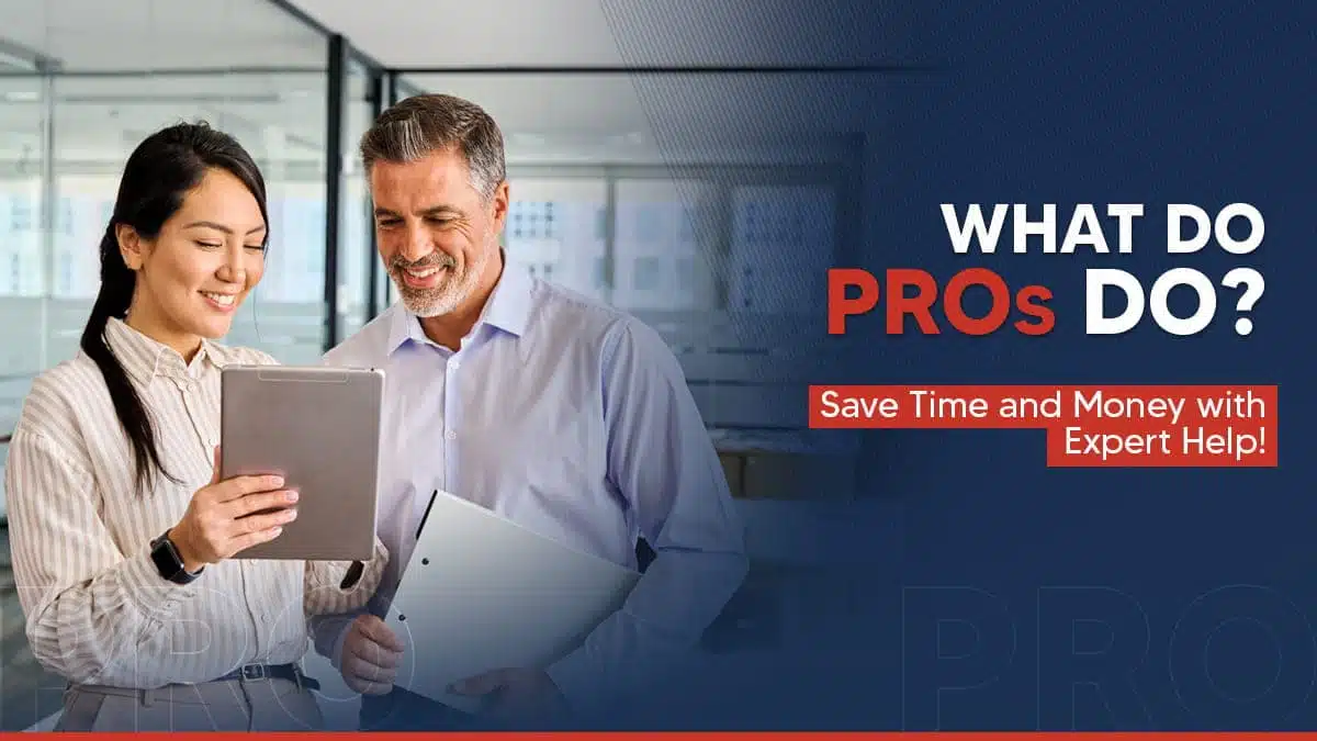 What are PRO Services in Dubai