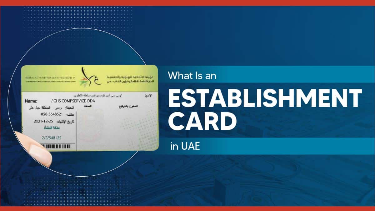 What Is an Establishment Card in UAE?